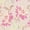 Pink Carnation, variant on Blush Pink Carnation 60" Wide Poly Spandex Sheer Lace Power Mesh Fabric-Breathable for Sewing Apparel, Clothing, Activewear, Headbands, Accessories, Decorations, and DIY Projects.