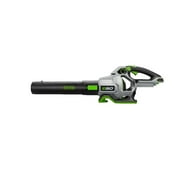 Ego Handheld Leaf Blower,670 cfm,180 mph LB6700