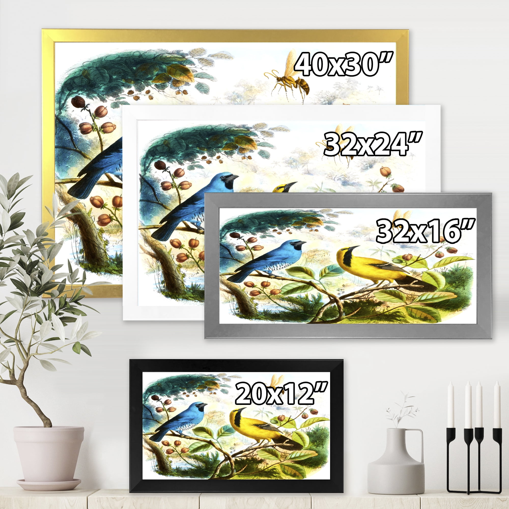 Designart 'Yellow and Blue Bird In The Wild' Traditional Framed Art Print