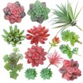 thumbnail image 1 of Inteprter Accesorios para fotos microsuculentas Plantas simuladas Multifuncional Artificial Realista Decoraciones de bonsái de buen aspecto SET0824 Flores artificiales SET0822 PAQUETE DE 14 Inteprter HA060204-09B, 1 of 6