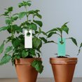 thumbnail image 2 of Pawsdot 500Pcs Plastic Hanging Plant Labels Ideal for Succulent and Vegetable Classification in Garden Use, 2 of 8