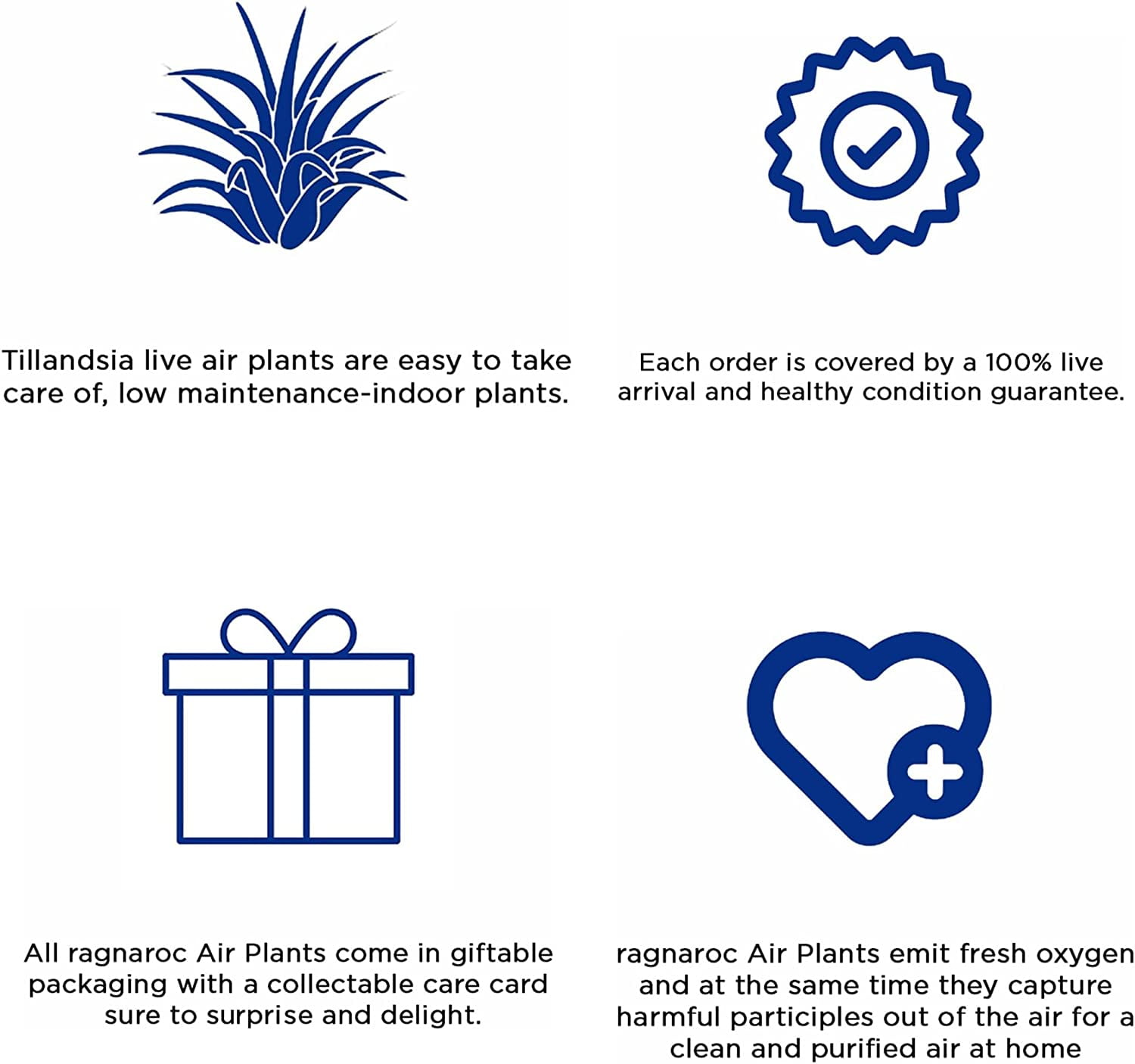 ragnaroc 1-4" Assorted Tillandsia Live Plants in 100% Recyclable Packaging (25 Count)