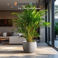 thumbnail image 3 of Vucunty Concrete Ball Planter Outdoor Indoor, Large Cement Plant Pots for Trees Flowers (Gray, 20 inch), 3 of 6