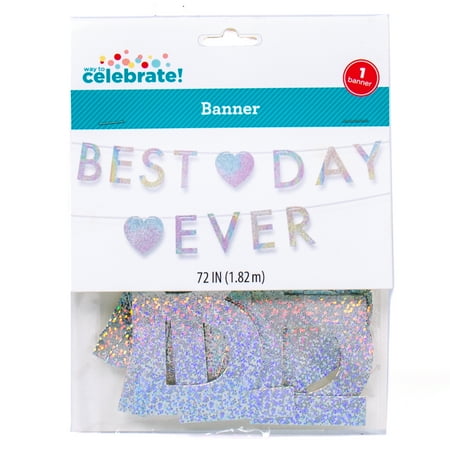 Way To Celebrate! Best Day Ever Iridescent Banner