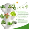 thumbnail image 4 of Solaroxy Grey Hydroponics Growing System, Garden Hydroponics Growing System Tower with Smart Plug, Indoor 6 Layers 30 Pots White Planting System, 4 of 7