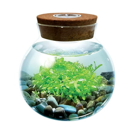 WaterPlants- Create Your Own Lush and Soothing Aquasacape Terrarium Starter Kit, Indoor Plant Glass Globe Terrariums with Powerful 3 LED Light and Complete Supplies, Just Add Water!