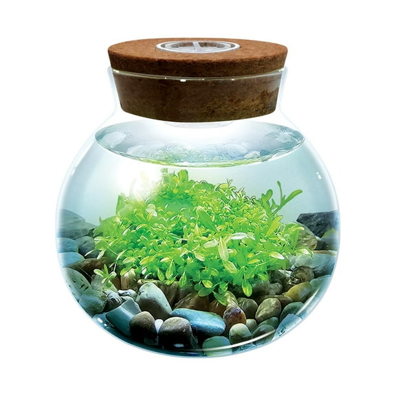 WaterPlants- Create Your Own Lush and Soothing Aquasacape Terrarium Starter Kit, Indoor Plant Glass Globe Terrariums with Powerful 3 LED Light and Complete Supplies, Just Add Water!
