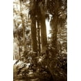 thumbnail image 2 of Alan Hausenflock 4x24 White Modern Wood Framed Wall Art Titled - Tropical Garden II, 2 of 5
