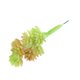 thumbnail image 1 of Plantas de Flor Edelweiss perfecl Follaje Decoración artificial, 1 of 5