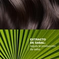 thumbnail image 2 of DUCRAY, Sabal Shampoo Tratante Seborregulador, Controla la Producción de Sebo, Cabello Graso, 200ml, 2 of 5