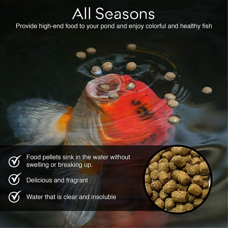 Bulk koi fish 2025