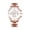 Rose Gold White -AE43, variant on Mens Watches Stainless Watch for Men Round Dial Watch for Men Fashion Business Wristwatch with Date 2026 Black Black Pink