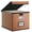 (Leather) Caramel, variant on File Organizer Box with Lid, Collapsible File Folder Organizer for Office Document Storage, Filing Box with Plastic Slide for Letter Size Hanging File Folders(1 Pack, Black)
