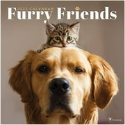 2022 - 2023 Monthly Wall Calendar, 16 Month Large Grid, Cats and Dogs Furry Friends Animals Theme, 12 x 12 in