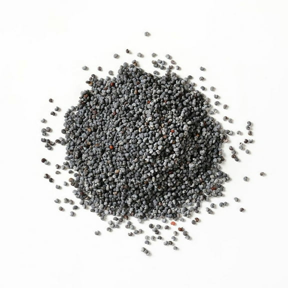 Whole Poppy Seeds by Snack Delights, All-Natural, 16 oz Resealable Bag