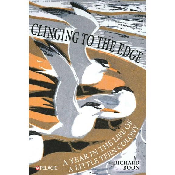 Clinging to the Edge: A Year in the Life of a Little Tern Colony, (Paperback)
