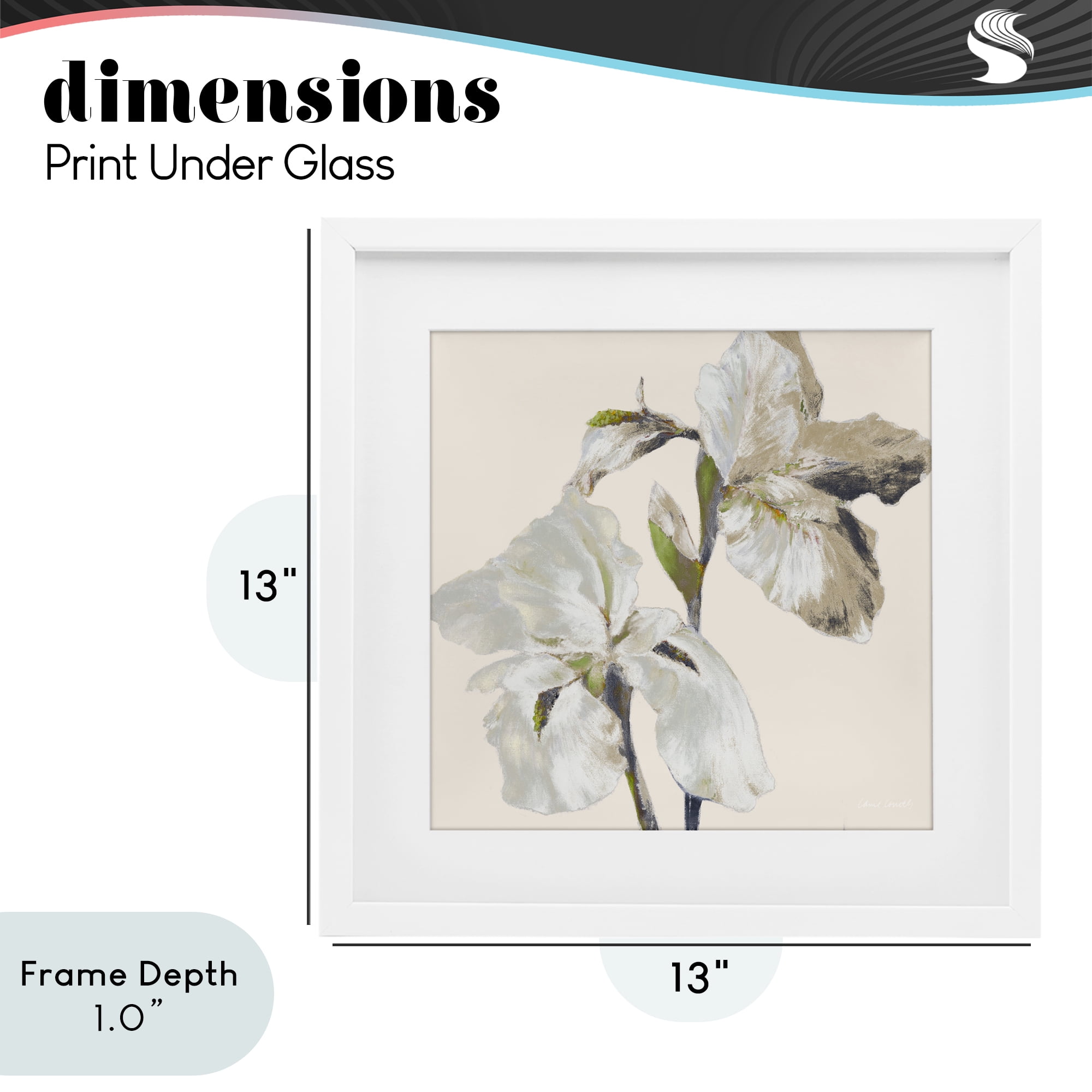 Stupell Industries Irises Soft Beige White Framed Print Under Glass, design by Lanie Loreth