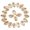 Light Gold, variant on MATROOY 50pcs Electroplated Shell Beads Cowrie Shells Mixed Color for Craft Making-Light Gold