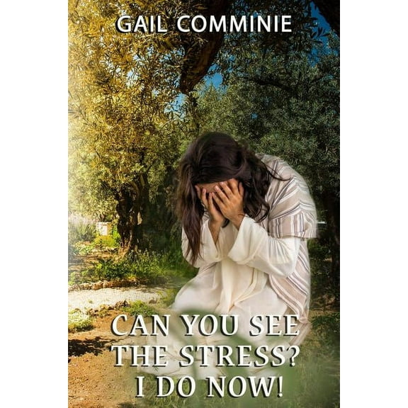 Can You See The Stress? I Do Now!, (Paperback)