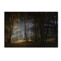 Norbert Maier 'November Morning' Canvas Art