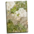 thumbnail image 2 of Gango Home Decor White Flowers III by Karyn Millet (Ready to Hang); One 24x36in Hand-Stretched Canvas, 2 of 4