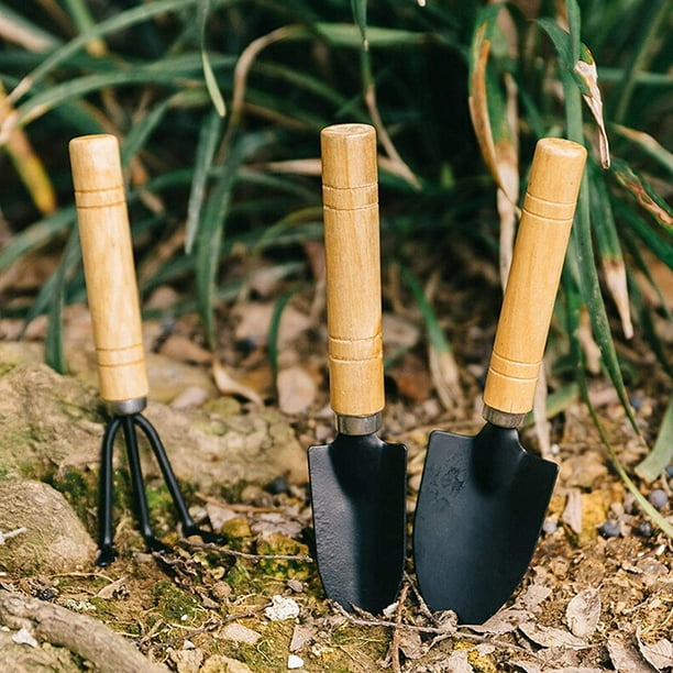 Acheter Mini outils de jardin pour plantes, manche en bois, pelle