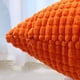 thumbnail image 3 of Dinheiro Fundas de Almohada Decorativas, Juego de 2 Fundas de Almohada Lumbares de Pana Suave, Funda de cojín para decoración del hogar para sofá, Cama, sofá, Dormitorio, Coche, 3 of 6