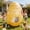Yellow, variant on SDJMa 41.3 Inch Large Inflatable Easter Egg, Giant Colorful Blow Up PVC Egg for Indoor Outdoor Spring Easter Party Garden Yard Lawn Decor