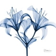 thumbnail image 3 of Koetsier, Albert 20x20 Black Modern Framed Museum Art Print Titled - Indigo Lily, 3 of 5