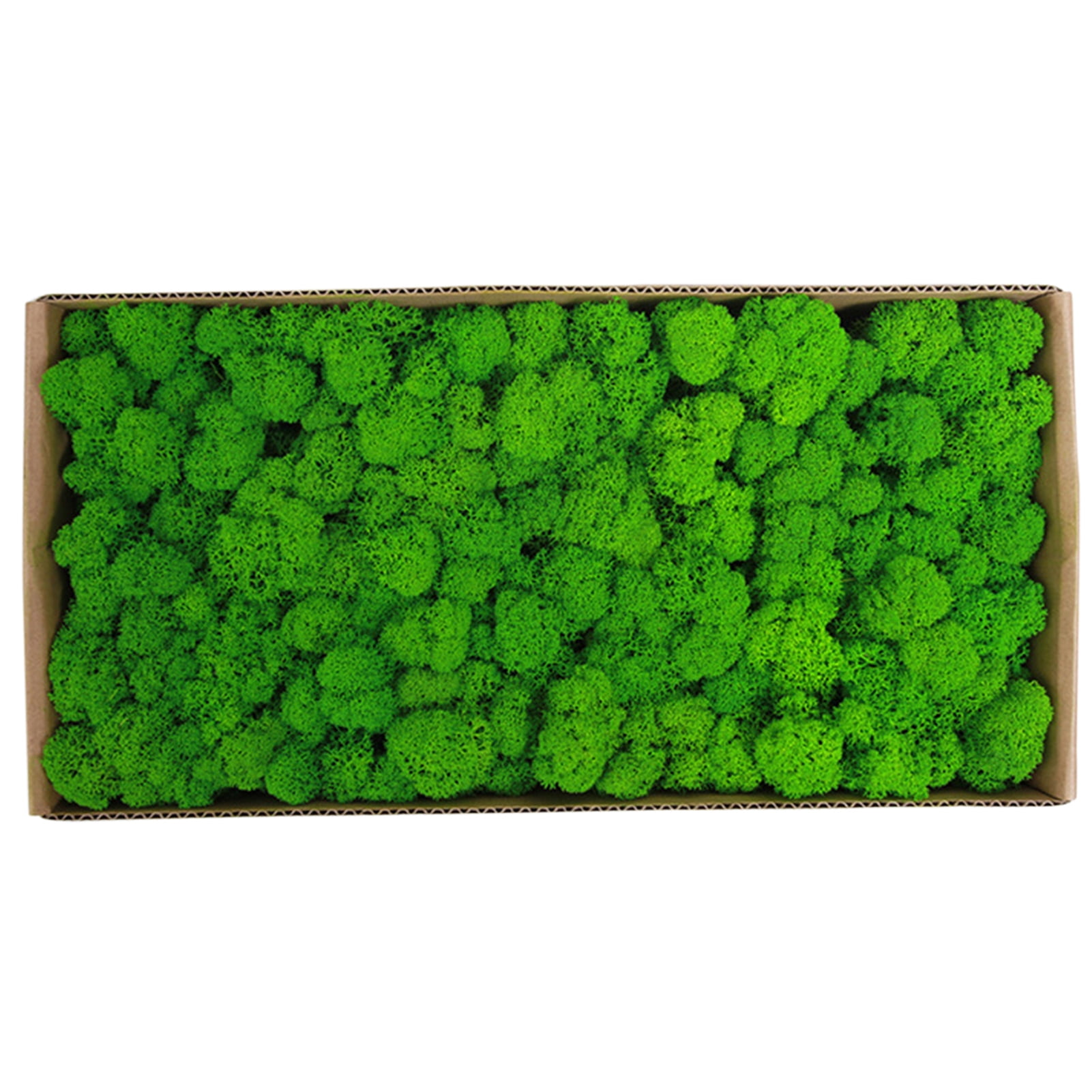 Real Preserved Moss Moss Preserved Moss Gardenning Art Wall Decor Moss Bulk Micro Landscape Decorative Props