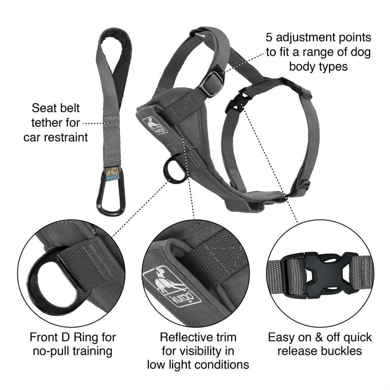Kurgo Tru-Fit Smart Harness, Dog Harness, Pet Walking Harness, Quick  Release Buckles, Front D-Ring for No Pull Training, Includes Dog Seat Belt  Tether (Grey, Small) 