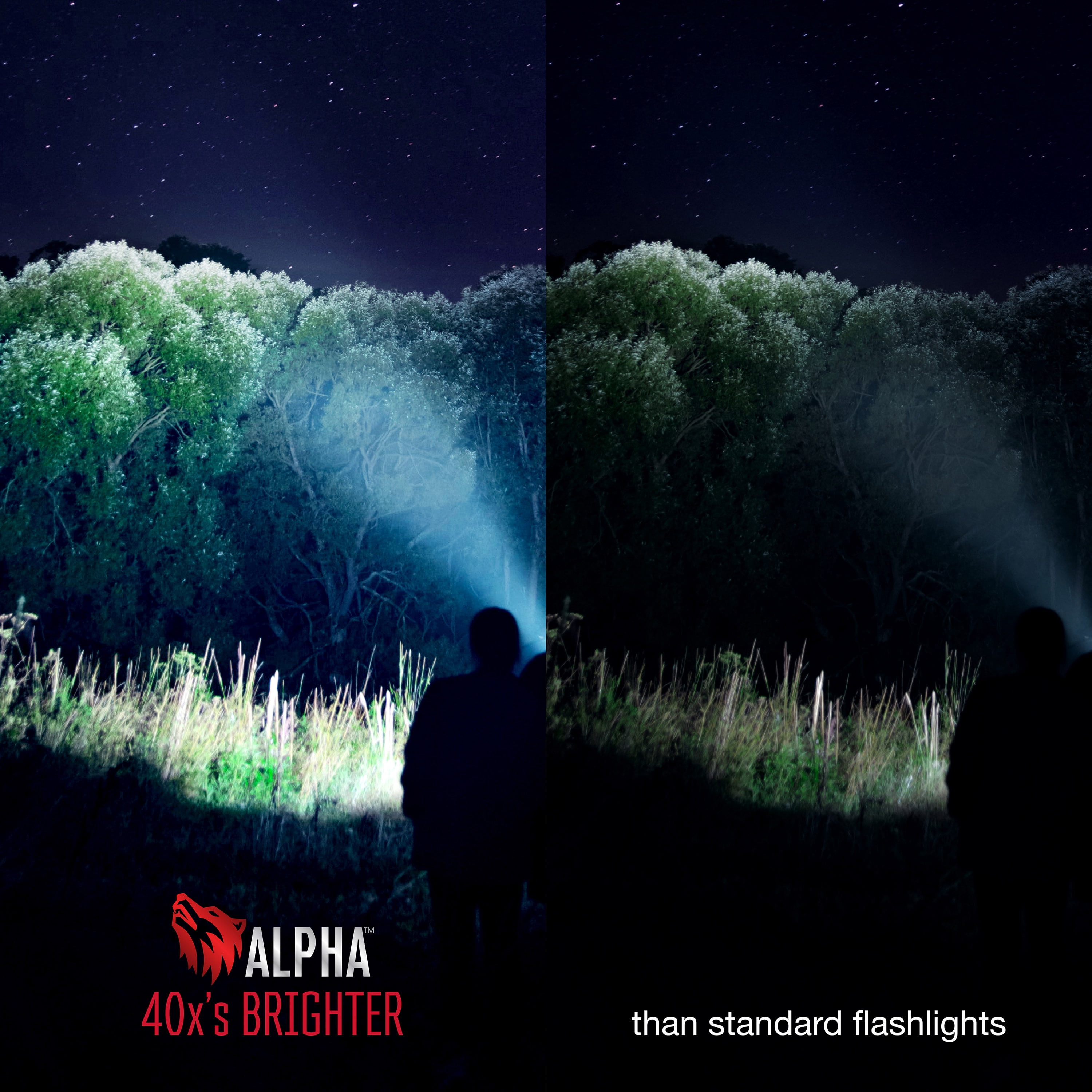 Alpha Pocket Flashlight And Power Bank by Tzumi