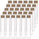 thumbnail image 1 of 30pcs 25ml Glass Test Tubes, 20100mm Clear Flat Test Tubes With Cork Stoppers For Scientific Experiments, Bath Salt And Candy Storage(bejoey), 1 of 5