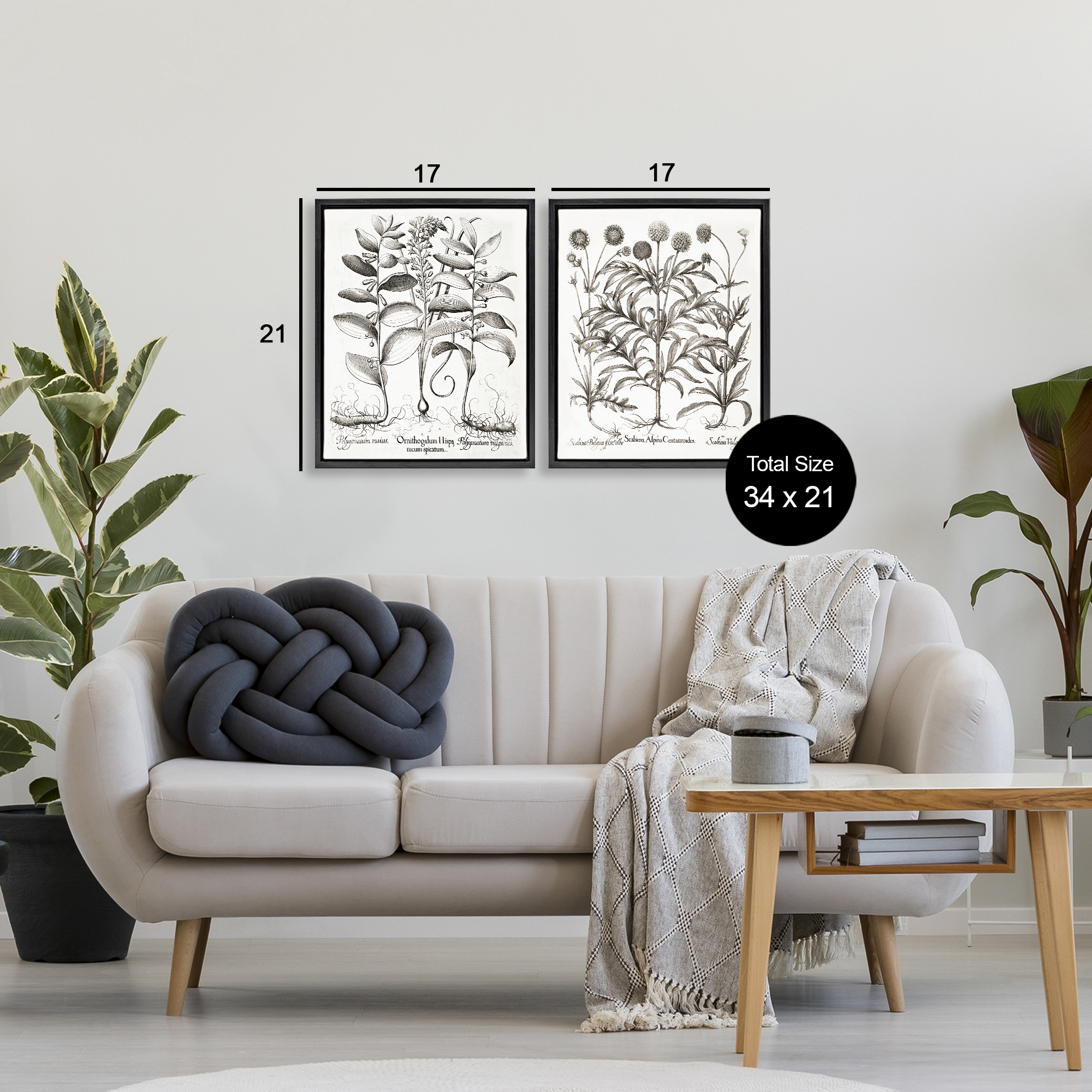 Botanical Root & Plant Studies 2 Piece Black Framed Floater Canvas Set, design by Lettered and Lined
