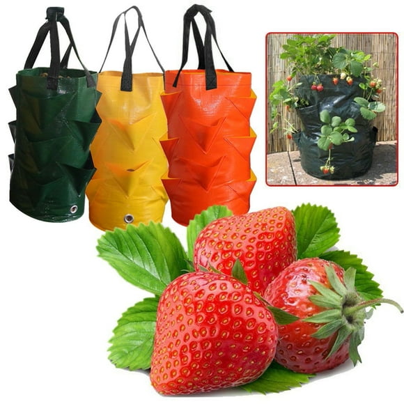 SSZMDLB 3Pcs 3 Gallon Strawberry Grow Bag, Multi-Mouth Container Planter Pouch Fabric Pot for Gardening Flowers Vegetables, Foldable Washable Reusable Plants Growing Bags with Handles, Breathable