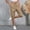 Khaki women plus size cargo capri pants a1, variant on Cagogo Women Plus Size Cargo Capri Pants Elastic Waist Casual Cropped Pants with Pockets Travel Work Hiking Summer Loose Fit Trousers, Brown M