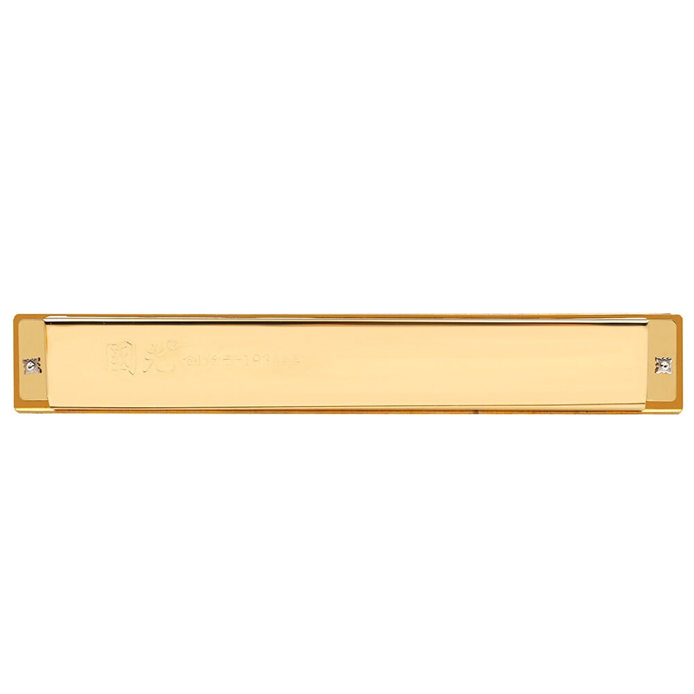Raindrops 28-Hole Golden Key of C Harmonica Polyphonic Musical Instrument for Beginners, Stainless Steel and ABS Construction