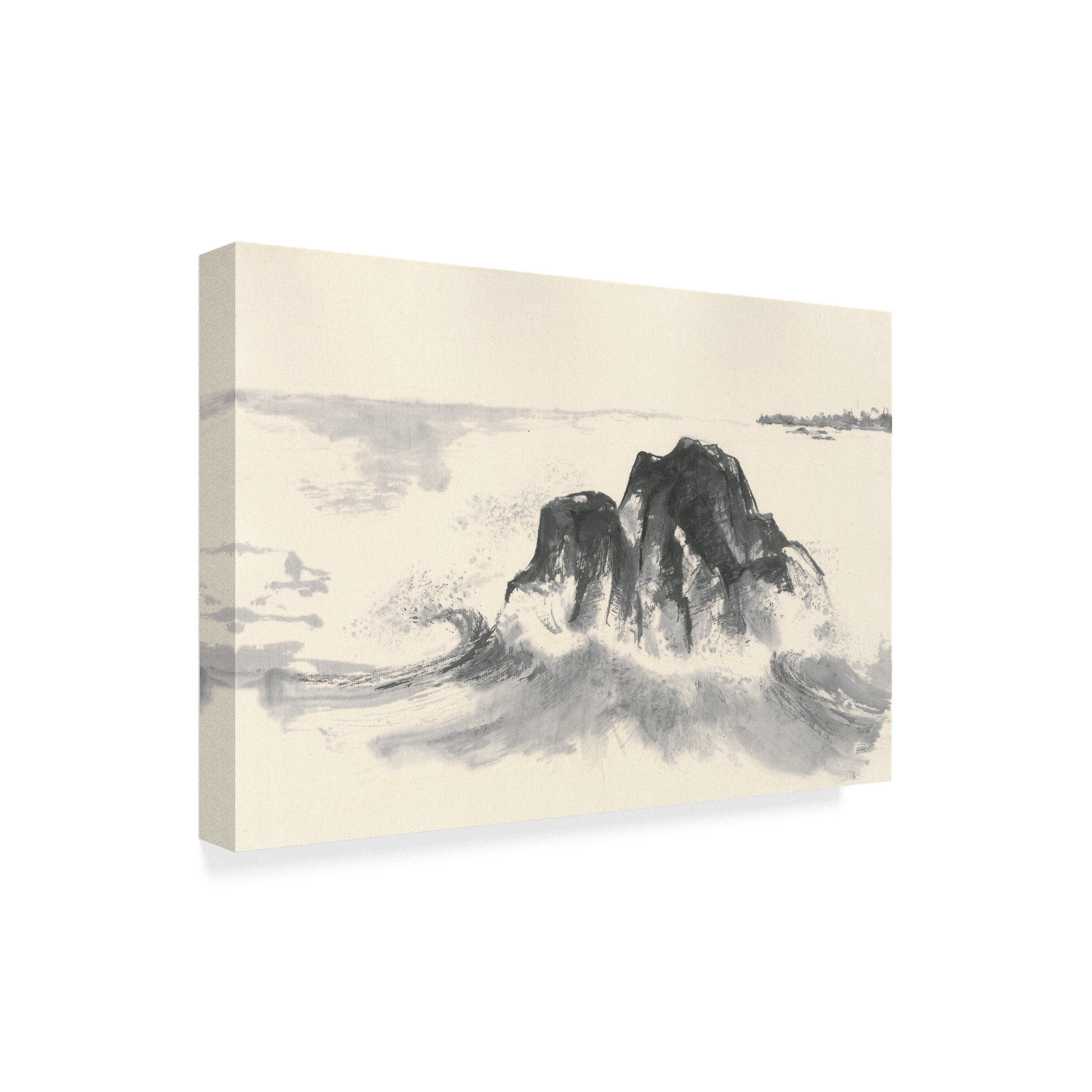 Trademark Fine Art 'Ocean Waves' Canvas Art by Chris Paschke