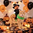 thumbnail image 4 of Halloween Pet Pumpkin Rider , Funny Dog Cat Pumpkin Knight Cosplay Outfit, Adjustable Pet Halloween Party Dress Up for Dogs Cats, Holiday Photo Prop, 4 of 5