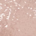 thumbnail image 2 of Zelouf Reese Pailette Clear On Stretch Mesh  , Sewing, DIY, Crafts Fabric by the Yard, Blush, 5 Yard, 2 of 2