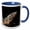 Blue/White, variant on 3drose, Iguana in the Sun Puerto Vallarta Mexico, 11oz Two-tone Green Mug