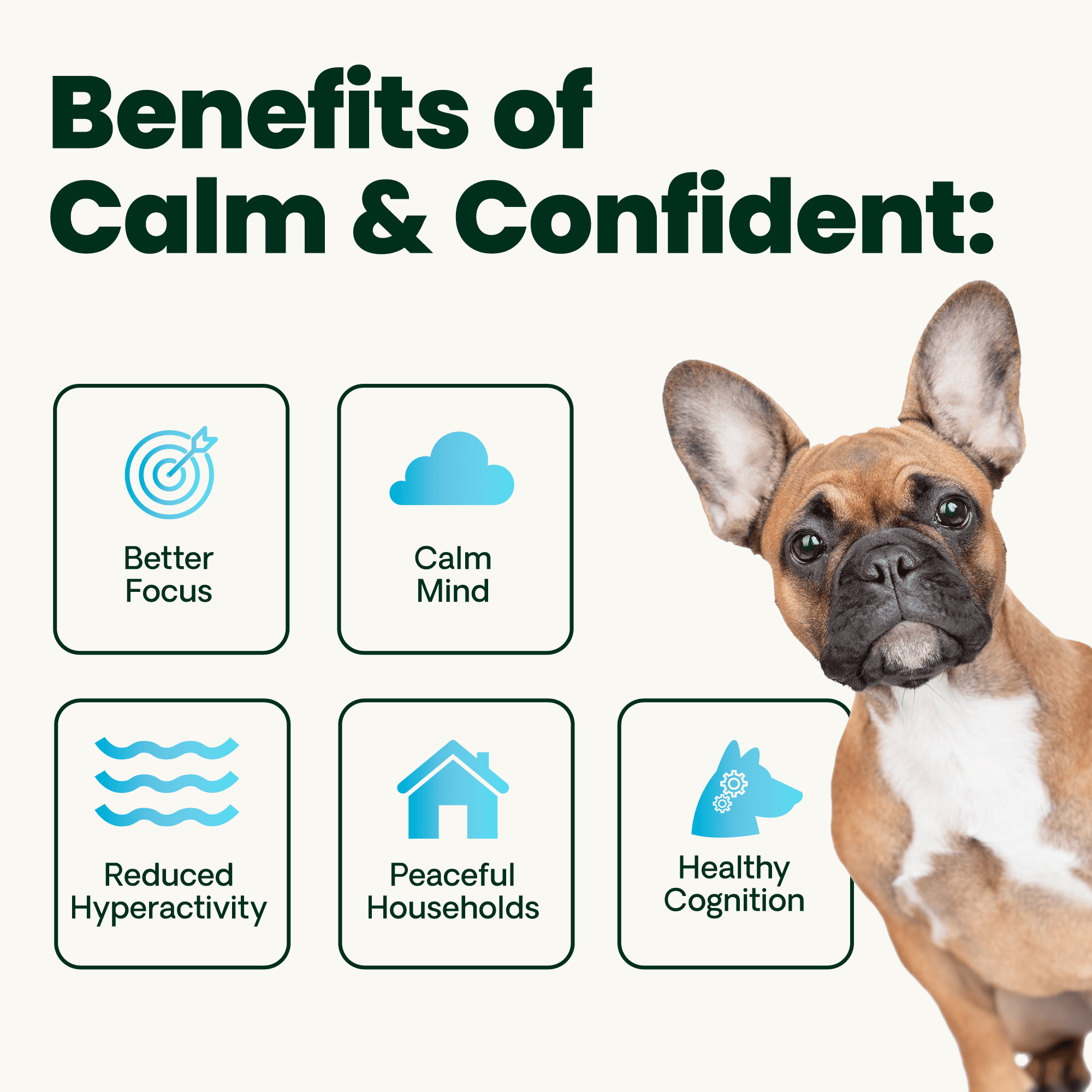 VetriScience Composure Calm & Confident Clinically Tested Bacon Flavored Chews, Calming & Anxiety Supplement for Dogs, 120 count