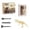 A, variant on 1PC A Minibee Dinosaur Digging Kit Archaeology Science Set with Excavation Tools for Educational STEAM Activity