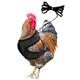 thumbnail image 1 of Arnés de pollo ajustable con correa - Cómodo chaleco de malla transpirable oso de fresa Hogar, 1 of 1