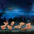 thumbnail image 6 of Kiplyki Ancient Animals Head Skeleton Model Skull Educational Toys Bones Decor, 6 of 6