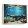 thumbnail image 2 of Designart "The Coastal Coral Realm" Coastal Coral Under Water Floater Framed Canvas Wall Art, 2 of 5