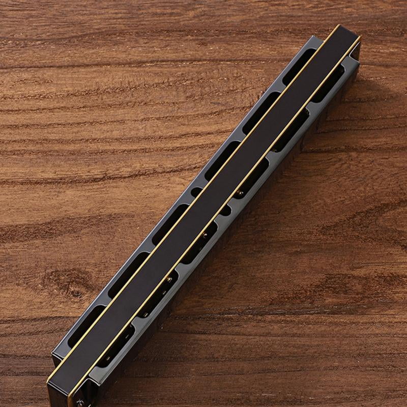 CEORPER Harmonica for Key of Polyphonic C 28 Hole with for Case for Professional Player