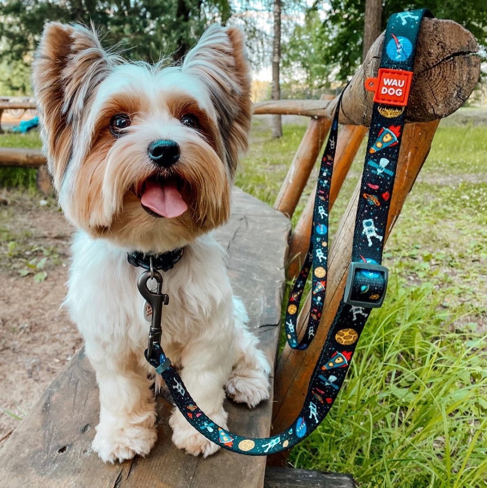 WAUDOG Nylon Leash with Unique Design | Strong & Special Design Leash for Cute Small, Medium Large Dog | Heavy Duty Dog Leashes for Large Breed Dog & Puppy Leash for Small Boy & Girl Dogs - Red Plaid