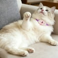 thumbnail image 4 of Collier Interactif Intelligent pour Chat avec Lumières DEL Portables pour Exercice Intérieur et Amusement, 4 of 5