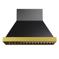 48 in. 800 CFM Wall Mounted Range Hood in Titanium Stainless Steel with Gold